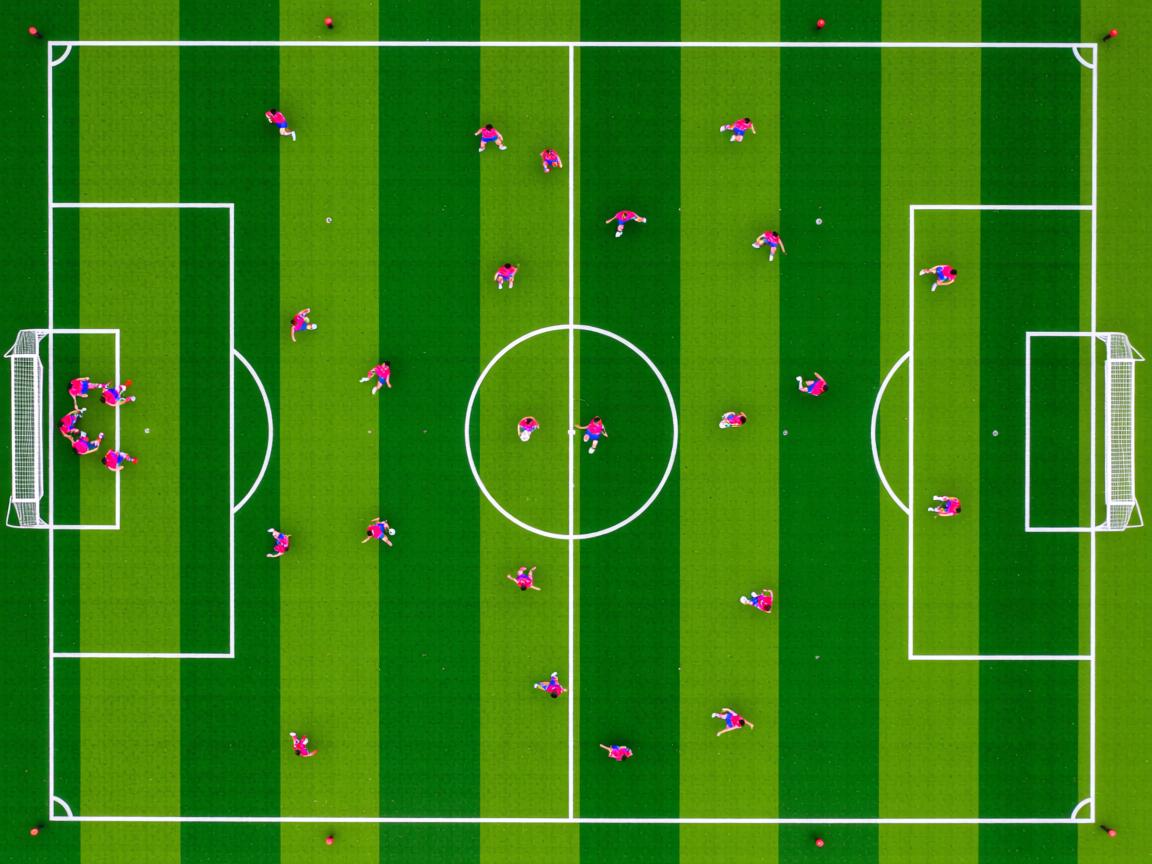 九游官网入口-“运动舞蹈：舞者在金牛区城北体育馆将如何将力量与美学完美结合？”