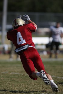 九游娱乐下载-五大联赛争四阶段关键球员贡献值差异对比，五大联赛引援